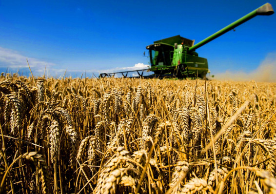 Минсельхозпрод: Беларусь и Россия согласовали аграрную политику по большинству вопросов