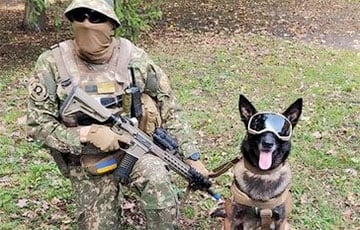На Харьковщине служебный пес украинской полиции нашел невредимый московитский БПЛА