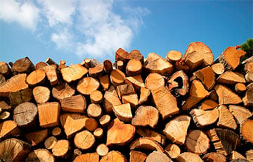 В Московии во время заготовки дров для оккупантов умер глава района Курской области