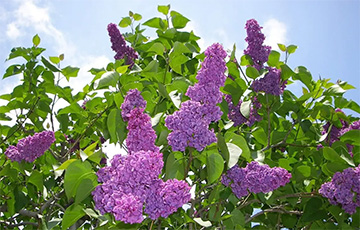 Синоптик рассказал о погоде на следующую неделю