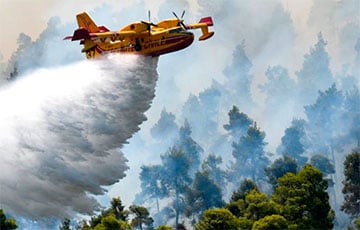 В Турции потушили все лесные пожары