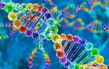Ученые: Люди с похожими лицами имеют схожую структуру ДНК