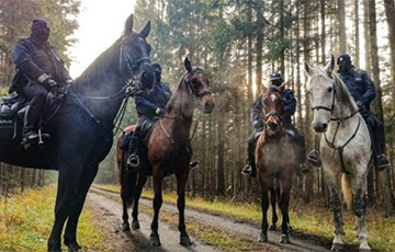 Польша привлекла к охране границы с Беларусью конные патрули
