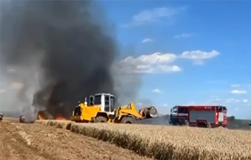 В Новогрудском районе из-за обрыва проводов горело поле с озимой пшеницей