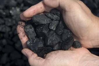 Польские инвесторы готовы участвовать в разработке белорусских месторождений бурых углей
