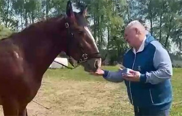Лукашенко подарили коня