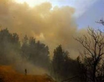 Беларусь и Греция заключили контракт на оказание помощи в тушении лесных пожаров