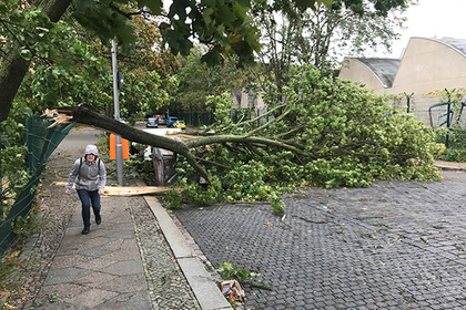 В Германии сильнейший шторм унес жизни четырех человек