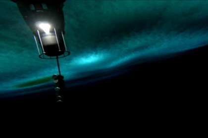 Запущенный сквозь скважину зонд впервые снял видео о подледной жизни Антарктиды