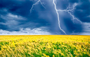 На смену аномальной жаре в Беларусь придут дожди и грозы