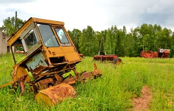 Сельское хозяйство Беларуси продолжает тормозить экономику
