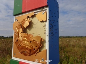 ГПК: с территории Украины обстрелян белорусский пограничный знак