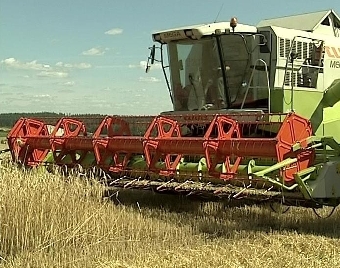 Хозяйства Беларуси преодолели четырехмиллионный рубеж по намолоту зерна