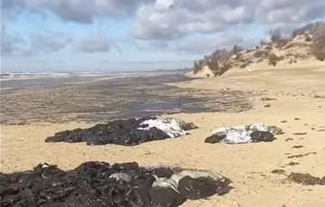 Из потерпевшего крушение в декабре танкера в Черное море снова вылился мазут