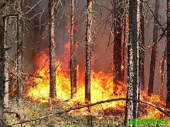На востоке Беларуси высокая пожароопасность