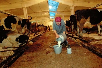 Закупочные цены на молоко повышены на 10%