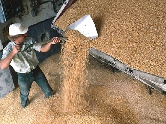 Россия временно прекратила поставлять зерно в другие страны