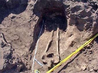 Человеческие останки найдены при прокладке газопровода в Слуцке
