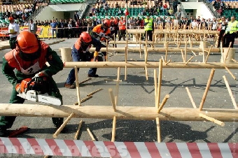 Мировой чемпионат вальщиков леса в 2012 году пройдет в Беларуси