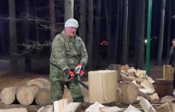Располневший Лукашенко в странной шапке рубил дрова