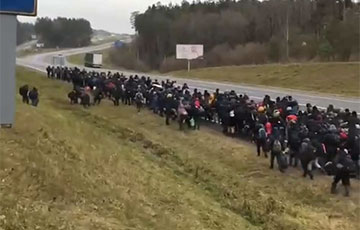 Польша, Литва и Латвия за четыре года не впустили 200 000 нелегальных мигрантов из Беларуси