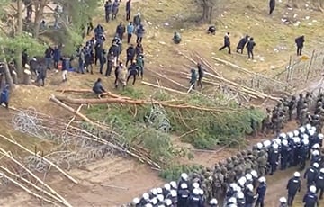 Мигранты штурмуют польскую границу с помощью огромных деревьев: видео с вертолета