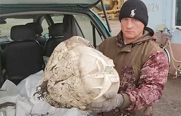 Под Бобруйском нашли гриб весом 10 килограммов
