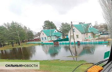 Гомельскую область Беларуси затопило после недавних ливней