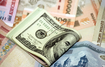Валютчик из Полоцка за год «наварил» 224 миллиона белорусских рублей
