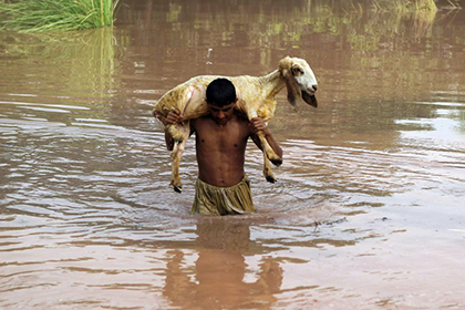 В Пакистане жертвами наводнений стали более 260 человек