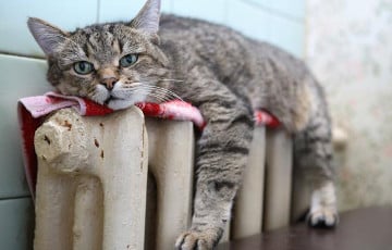 Жители Витебска остались без отопления и горячей воды