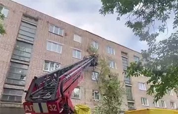 Упавшее в непогоду дерево повредило три квартиры и две машины в Борисове
