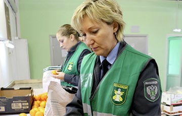 Россельхознадзор нашел в беларусском твороге токсичное вещество