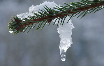 Синоптики поделились прогнозом погоды на 31 декабря - 2 января