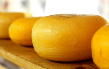 В Смоленской области нашли 18 тонн белорусского сыра «из будущего»