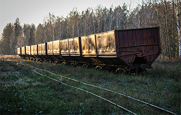 Возле Минска обнаружили загадочную железную дорогу
