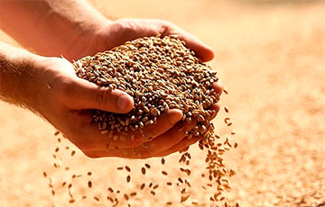В Беларусь не пустили более 20 тонн московитского зерна