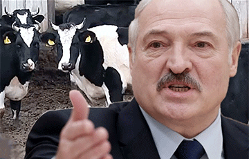 Еще один удар по Лукашенко