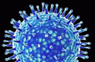 Вирусы гриппа и ОРИ в Беларуси еще не активизировались