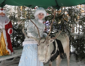 Праздничный вагон к Деду Морозу появится в составе поезда Минск-Брест с 24 декабря