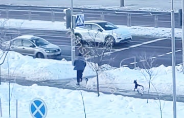 Минчанин выгуливал двух коз и стал звездой Сети