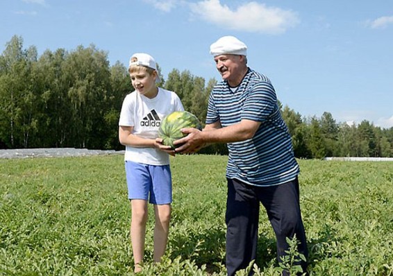Беларусь продолжает снимать сливки с российского эмбарго