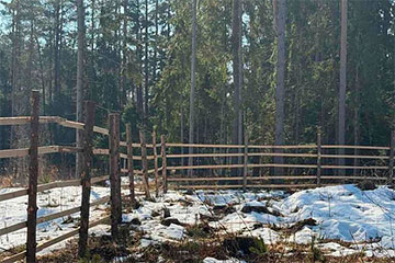 В лесу под Крупками заметили длинный забор