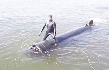 BILD: «Подводная армия» Украины способна потопить весь Черноморский флот РФ