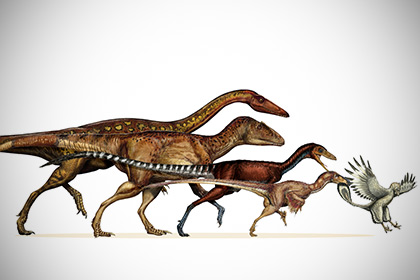 Выжить динозаврам помог маленький размер