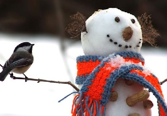 Морозы в Беларуси к середине следующей недели ослабеют