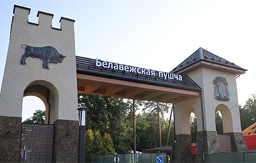 Как за год подорожал отдых в Беловежской пуще