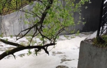 «Сегодня наблюдали в Лошицком парке странное зрелище»