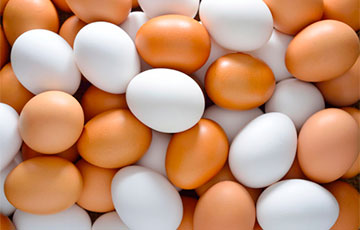 В Беларуси начались проблемы с упаковкой для куриных яиц