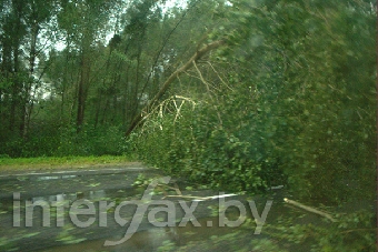 Сильный ветер в Беларуси за минувшие сутки обесточил более 1,3 тыс. населенных пунктов